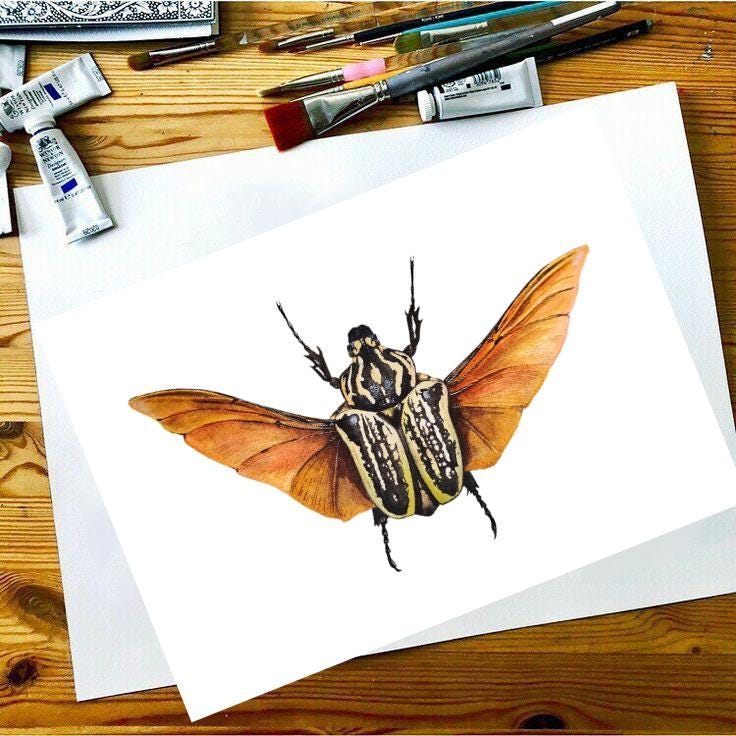 Insect Wall Art Print of Goliath Beetle Watercolor, Insect Gallery Wall ...