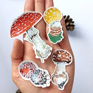 Pacchetto di adesivi per funghi, pacchetto di amanita muscaria, adesivi naturali, impermeabili e resistenti ai graffi, adesivo per bottiglia d'acqua per gli amanti dei funghi