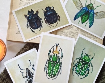 Entomology Postcard Set, Pack of 5 insect postcards, Beetle A6 Postcards, Insects Notecards, Nature inspired postcards, Notecard, Snail mail