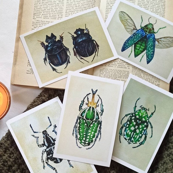 Entomology Postcard Set, Pack of 5 insect postcards, Beetle A6 Postcards, Insects Notecards, Nature inspired postcards, Notecard, Snail mail