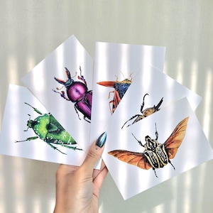 Beetle Art Postcards – Conjunto de 5 | Aquarela e impressões de insetos | Papelaria inspirada em entomologia, pacote de cartões postais de insetos