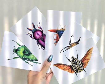 Beetle Art Postcards – Set of 5 | Watercolor & Bug Prints | Entomology-Inspired Stationery, Insect Postcard Bundle