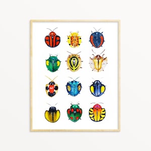 Insect Watercolor Illustration, Specimen Cassidinae Beetle Wall Art, Colorful Bugs, Kids Room Art, Fun Bright Wall Art
