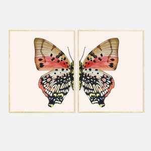 Butterfly Wall Art Set of 2 Wings, Boho Decor for Living Room, Minimalist Nature Prints, Butterfly Wings Print Set