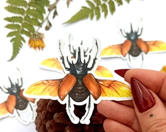 Rhino Beetle Waterproof Sticker
