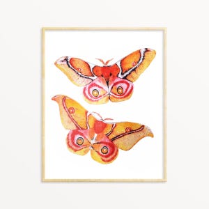 Motte Aquarell Illustration Druck, Antherina suraka, helle niedliche Insekt Wandkunst, Kinderzimmer Mädchen Kunst, Geschenk für Mutter