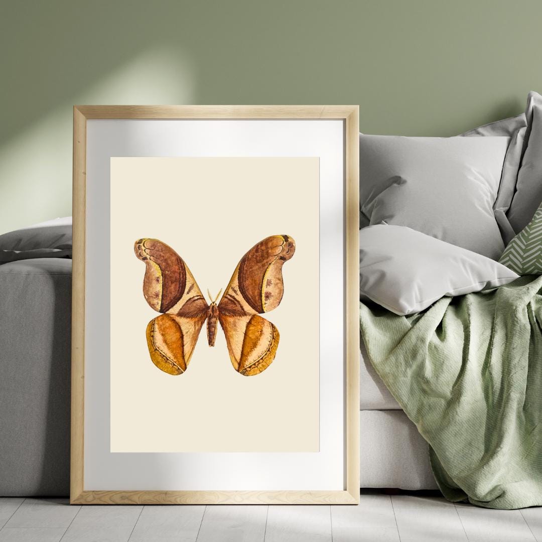 Vintage Moth Art Print, Digital Download Wall Art, Botanical Insect ...