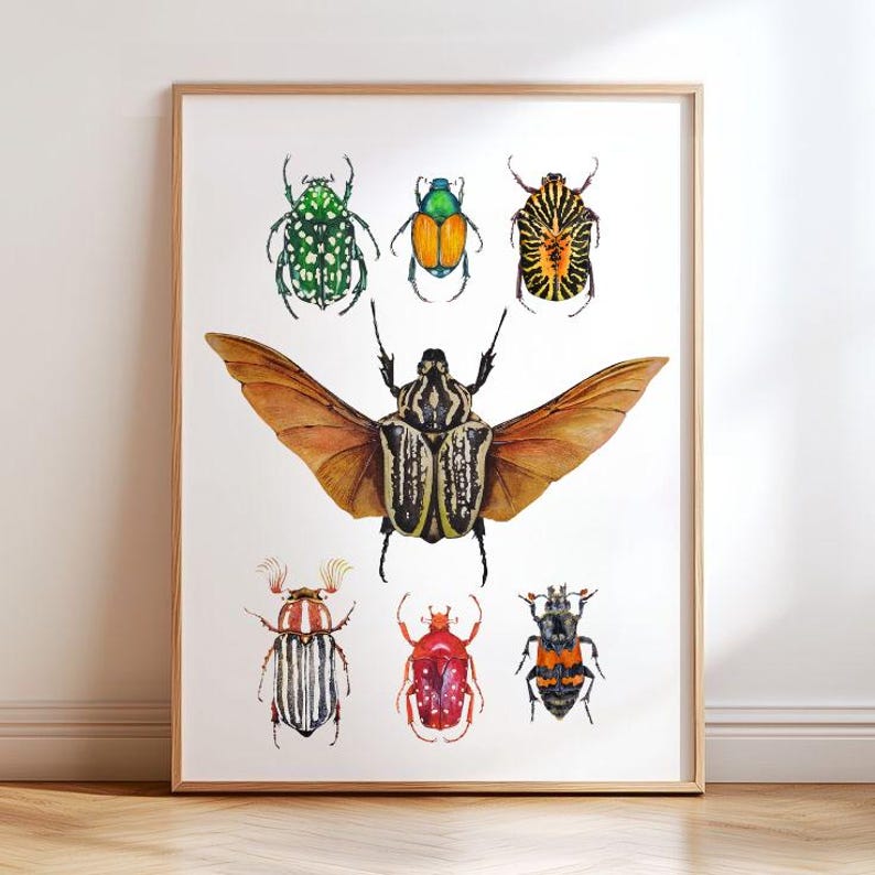Colorful Beetle Wall Art Print, Watercolor Entomology Illustration ...