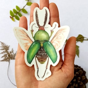 Adesivo per paraurti bug, adesivo scarabeo grande, adesivo resistente ai graffi opachi, decalcomania per insetti impermeabile, insetto verde, decalcomania per laptop, adesivo per iPad
