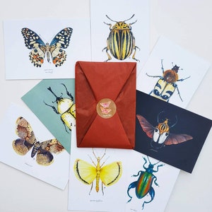 Insekt Postkarten Paket mit 8 Käfer Druck, Käfer, Motte, Schmetterling, Insekt Anatomie, Entomologie Geschenk, Kleine Drucke Bündel, Danke Postkarten