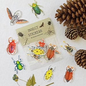 Juego de pegatinas de insectos, pegatinas de álbum de recortes, pegatinas de cuaderno, pegatinas de insectos lindos, suministros de diario, pegatinas de escarabajo pequeño