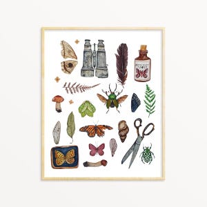 Kabinett der Raritäten, Insektenwandkunst, Lernposter, Naturgeschichte Kunst, Entomologie Ästhetik, Kleine Schätze Karte