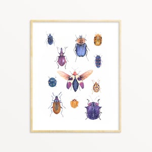 Colorful Beetle Watercolor Print: Entomology Art for Kids