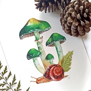 Mushrooms and Snail, Print of Botanical Watercolor Illustration LIMITED EDITION PRINT