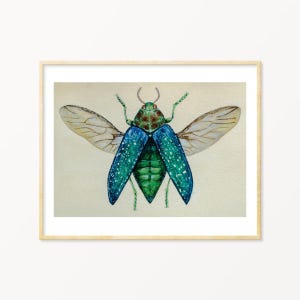 Beetle Watercolor Illustration Print,Limited Edition Print, Entomology gift, Green Jewel Beetle,  Gallery Wall Bugs
