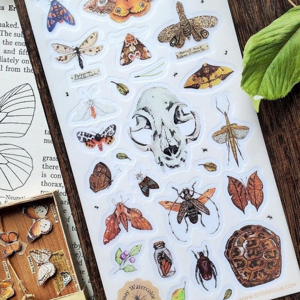 Entomology cabinet of curiosities Sticker Sheet, Journaling Stickers, Planner Stickers, Bujo Stickers, Witchy Stickers, Moths, Insects