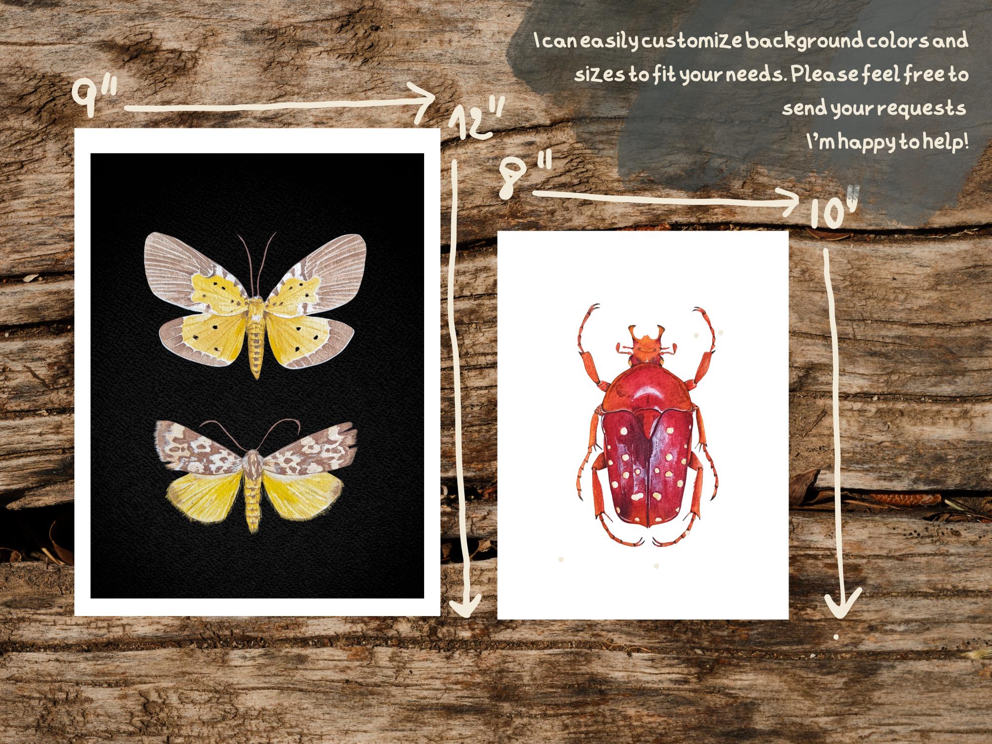 Insect Wall Art Print of Goliath Beetle Watercolor, Insect Gallery Wall ...