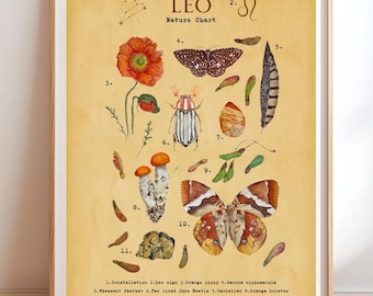 Póster de arte vintage de Leo