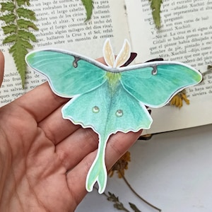 Pegatina Luna Moth, regalo de bruja, resistente al agua y a los arañazos.