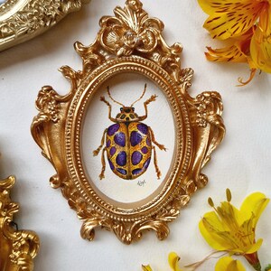 Mini coccinella Epilachna originale con cornice vintage OPERA D'ARTE ORIGINALE
