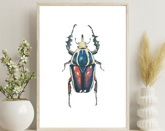 Bug Art Print of Beetle Watercolor, pinned Insect Art, Entomology Gift, Insect Specimen Illustration, Scientific Illustration
