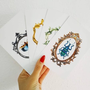 Entomology Vintage Insect Pack 5 Postkarten, Bugs A6 Postkarten, Insekten Karte, Natur inspirierte Postkarten, gerahmte Insekt Display Karten