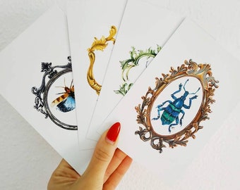 Vintage Insect Postcards: Framed Bug Art, Set of 5