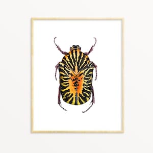 Tiger Beetle Watercolor Art Print, Insect Wall Art, Bug Illustration, Entomology Decor, Nature Print, Beetle Poster, Gift for Bug Lovers