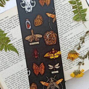 Witchy Bookmark, Insect Bookmarks, Beetles, Oddities Bookmarks, Gift ...