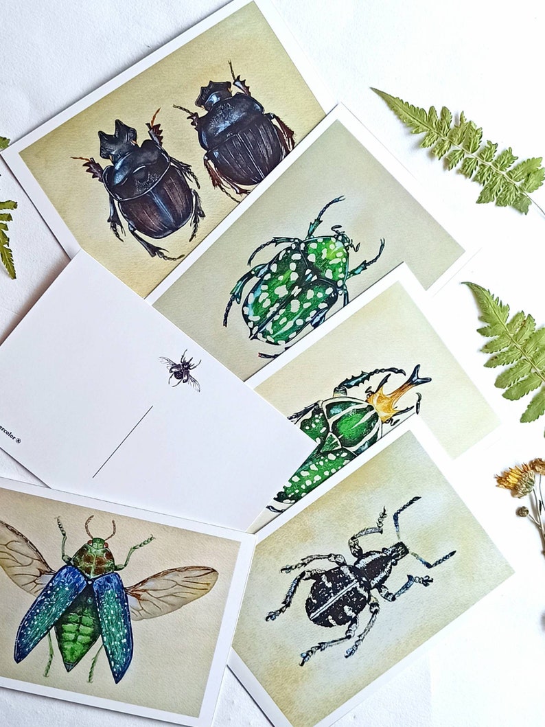 Insect Postcard Set of 5, Vintage Entomology Wall Collage Kit, Dark ...