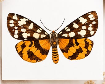 Lámina artística de polilla, ilustración de polilla amarilla y naranja en acuarela, arte botánico de mariposa de estilo vintage, EDICIÓN LIMITADA