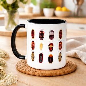 Isopod Mug: Entomology Gift, Insect Lover Coffee Cup