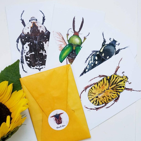 Beetles Postcard Set, Pack of 4 postcards, Beetle A6 Postcards, Insects postcards, Nature inspired postcards, Notecard, Entomology Gift