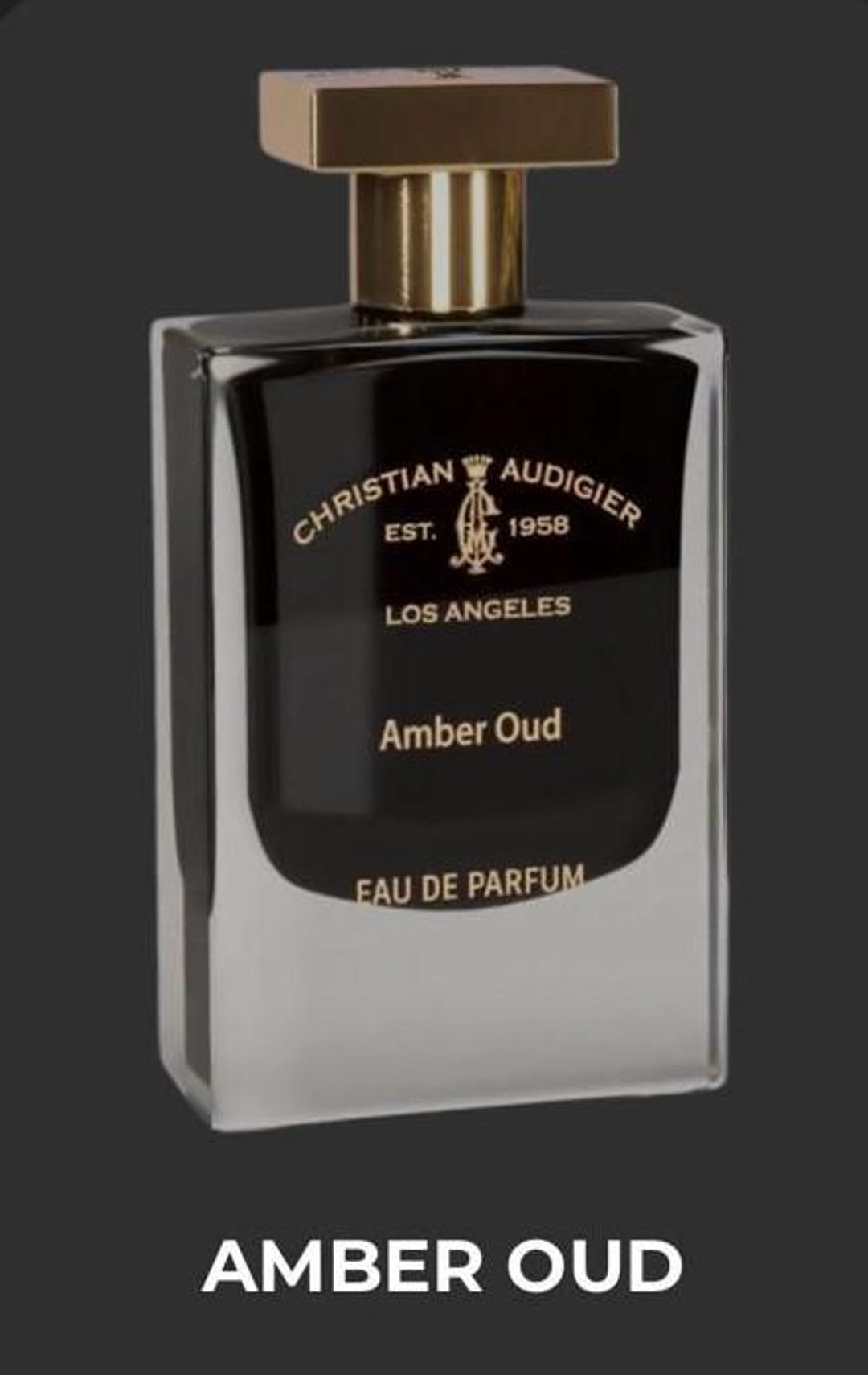 Christian Audigier Amber Oud Perfume 50ML 1.7 FL.OZ UPC 8684089705036 Etsy