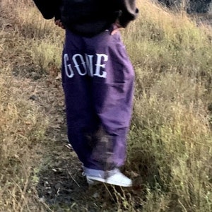 purple baggy pants