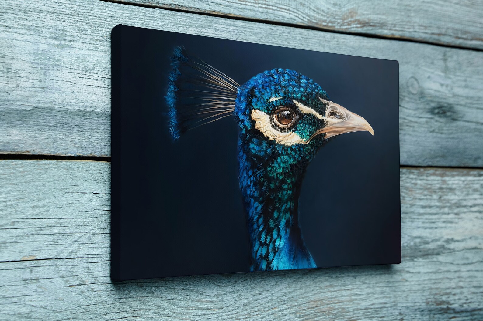 Peacock Canvas Wall Art Peacock Wallpaper Canvas Print Etsy