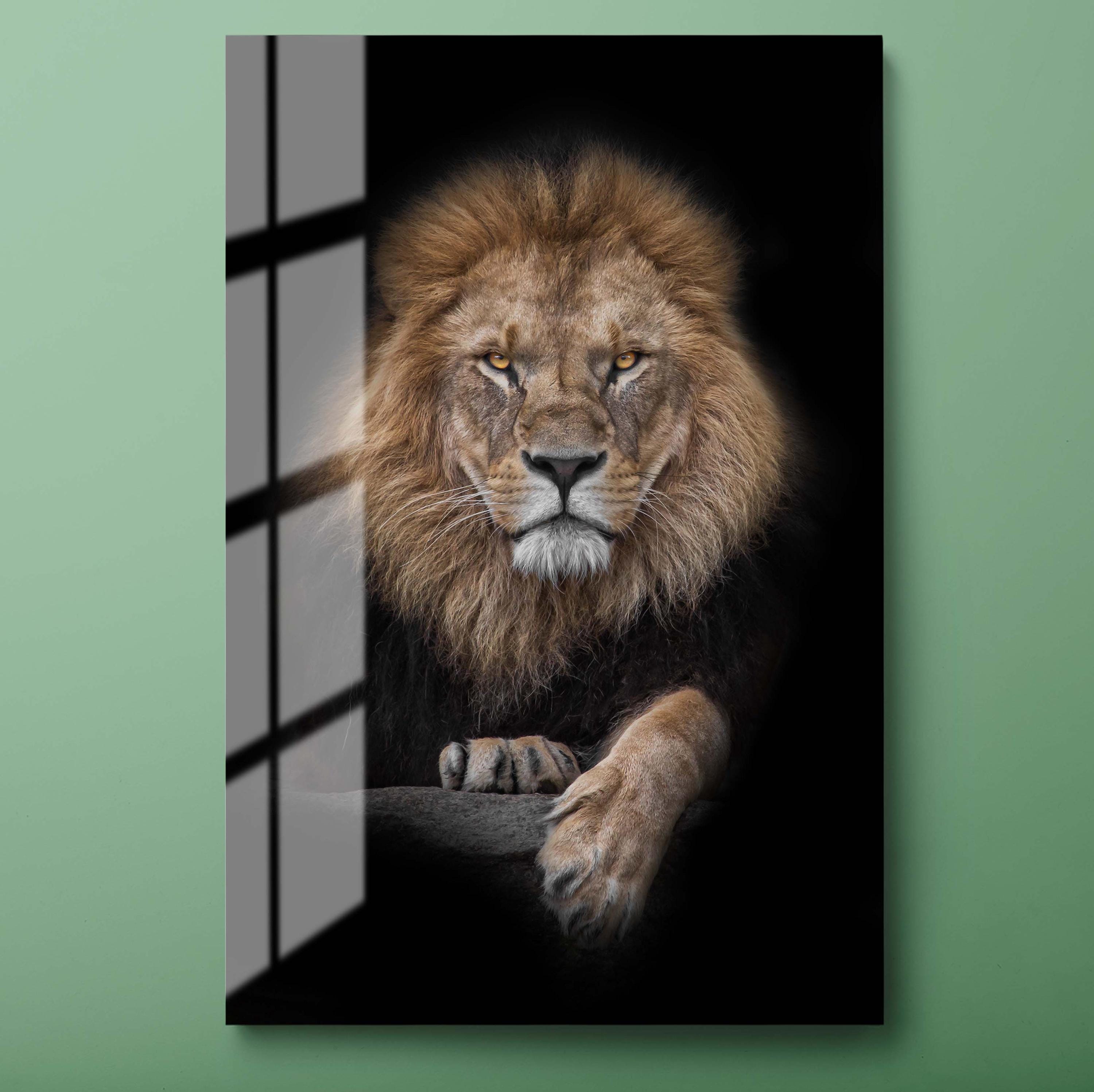 ライオンのポートレート強化ガラスウォールアート：雄大な野生動物の