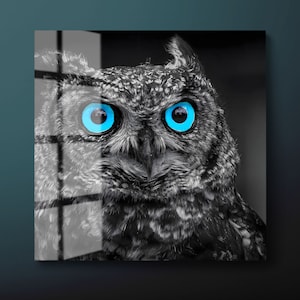 Blue Eyes Owl Tempered Glass Wall Art: Animal Decor, Ready to Hang- Delivery Duty Paid for USA