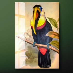 Decorazione murale in vetro temperato con tucano colorato, decorazione murale in vetro con uccello pappagallo, decorazione murale in vetro con uccello colorato, pronta da appendere