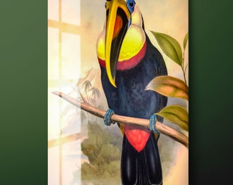 Colorful Toucan Tempered Glass Wall Art, Parrot Bird Glass Wall Decor, Colorful Bird Glass Wall Hanging, Ready to Hang