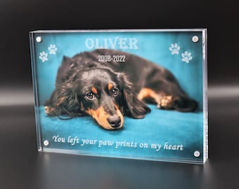 Pet Memorial Crystal Acrylic Magnetic Desktop Picture Frame with your Photo Insert size 4x6 5x7 6x8 8x10 Dog Cat Horse Rabbit Lizard Bird