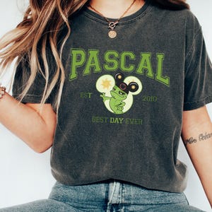 May include: A dark gray t-shirt with a green graphic of Pascal from Disney's Tangled. The graphic includes the text "Pascal" in green, "Est. 2010" in white, and "Best Day Ever" in white.
