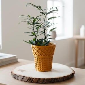 May include: A small houseplant in a yellow, waffle-cone-shaped pot. The plant sits on a round, wooden slab with a natural bark edge. The table is light-colored wood, and the background is a soft white.