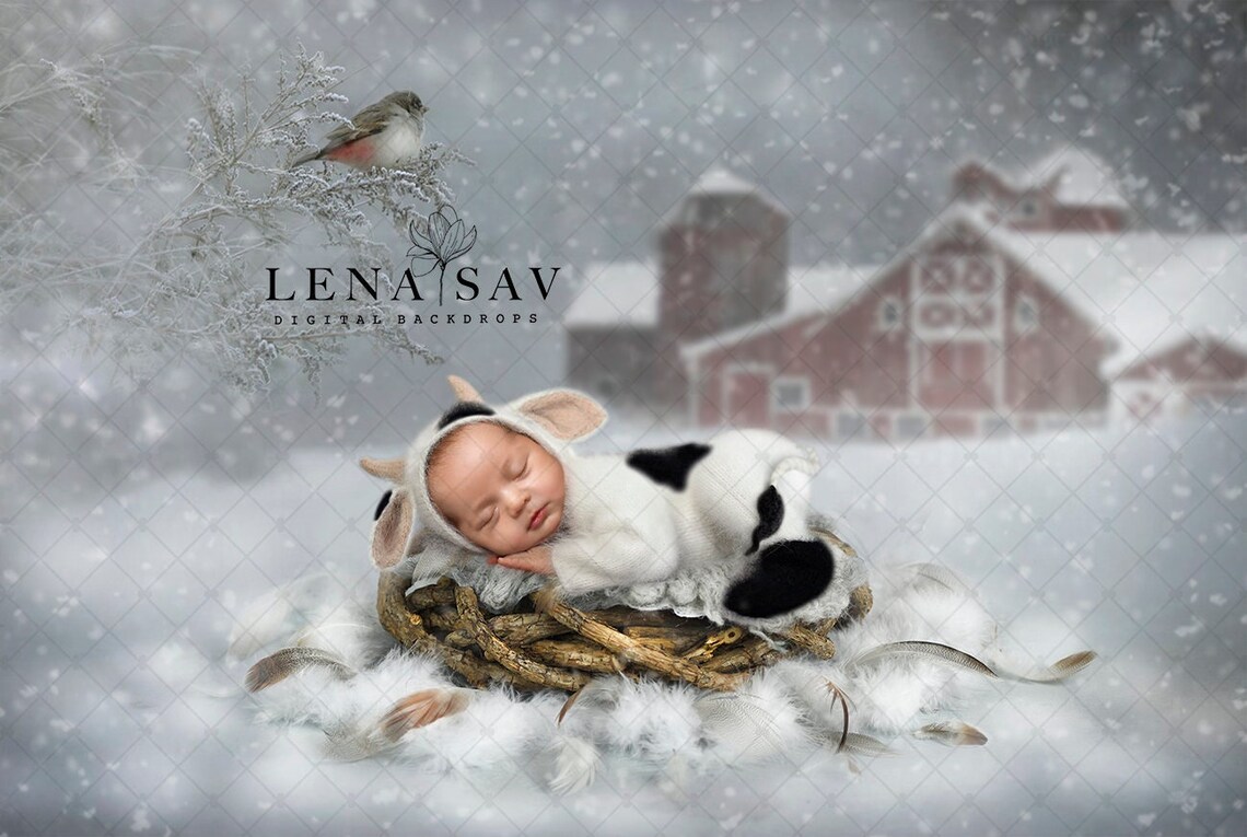 CHRISTMAS Newborn Digital Backdrop Instant Download 480 - Etsy