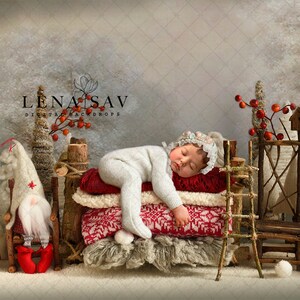 CHRISTMAS Newborn Digital Backdrop, Digital Background 289 Composite