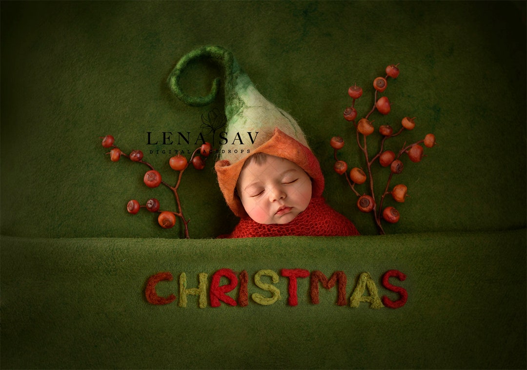 CHRISTMAS Newborn Digital Backdrop Digital Background 280 - Etsy