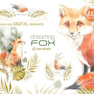 Clipart aquarelle de renard rêveur, PNG, renard, oiseaux, œuvres d’art Fichier numérique - pour imprimer des cartes postales, des tasses, des t-shirts, des affiches et tout artisanat