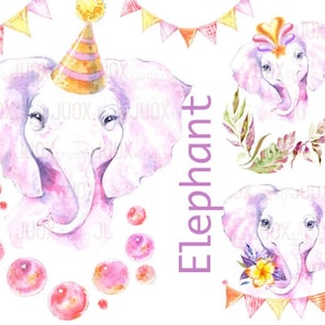 Baby Elephant acquerello clipart, animali della foresta, opere d'arte digitali per la stampa di cartoline, tazze, magliette, poster