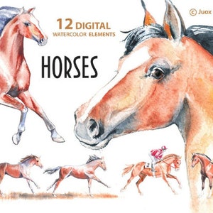 Horses Watercolor Painting Clipart, Stickers, Digital Elements, Derby, Boho invitation, Greetings Diy card