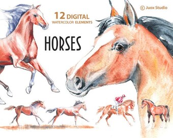Horses Watercolor Painting Clipart, Stickers, Digital Elements, Derby, Boho invitation, Greetings Diy card